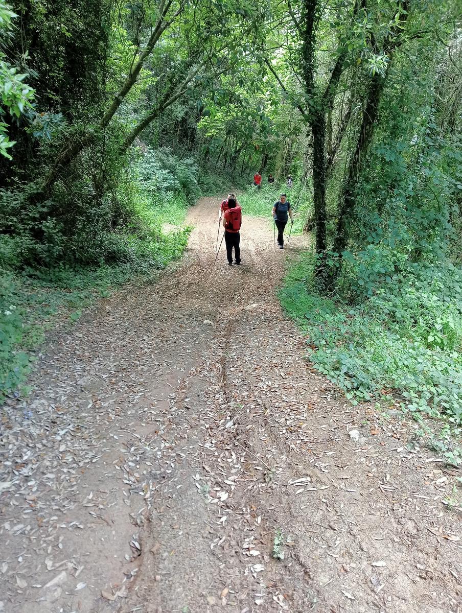 Croce di Brancoli - foto 11