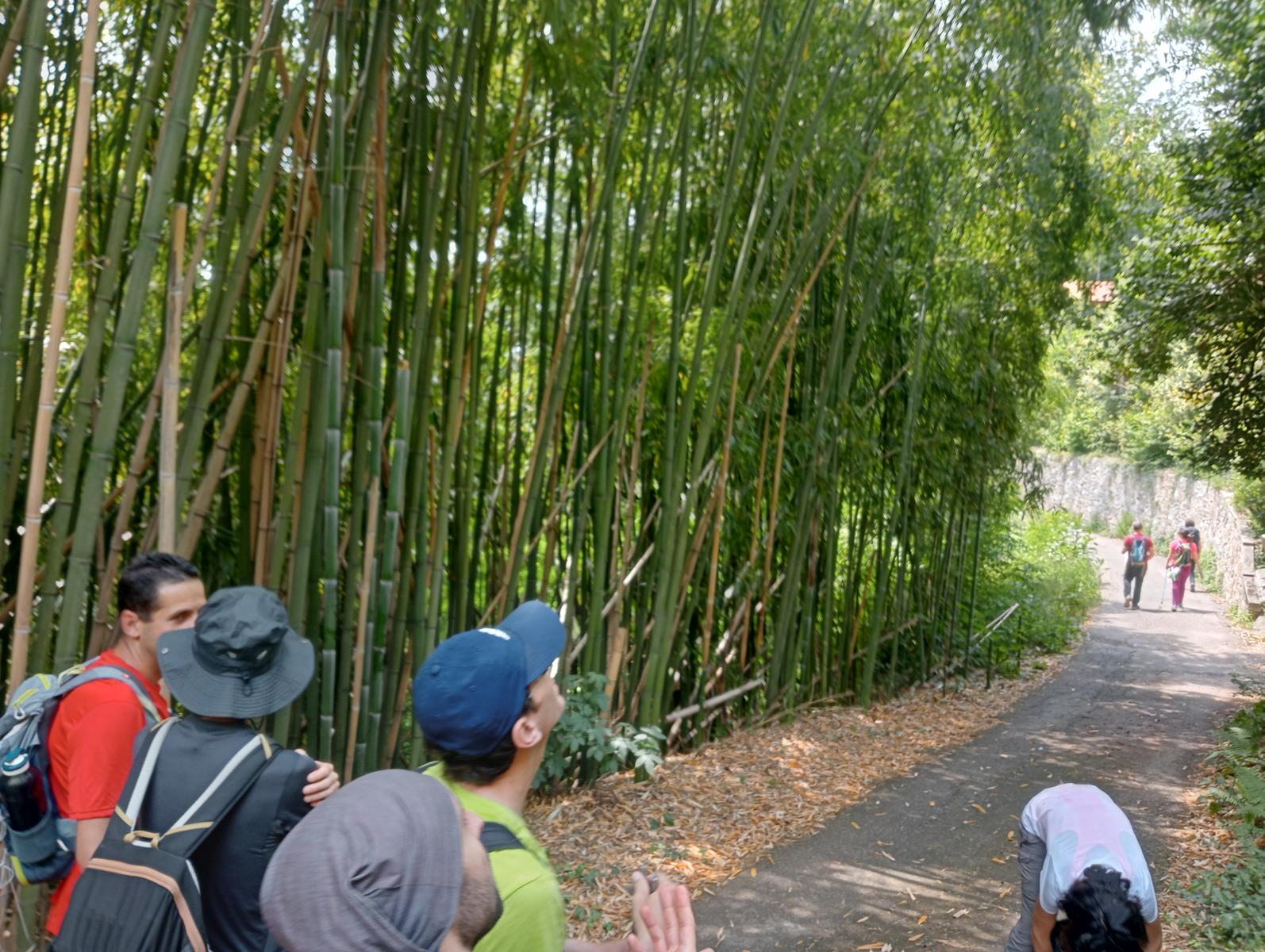 Croce di Brancoli - foto 14