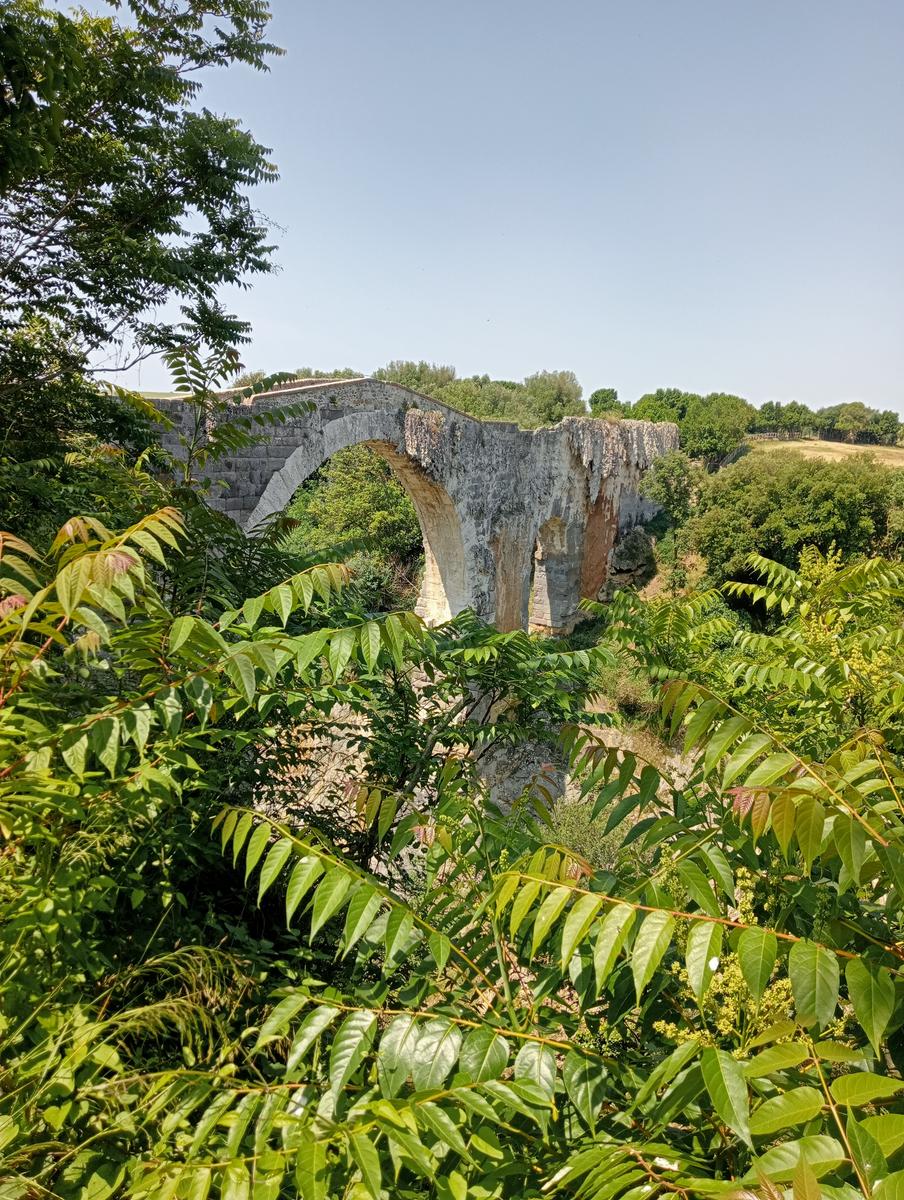 Castello di Vulci e parco archeologico - foto 12