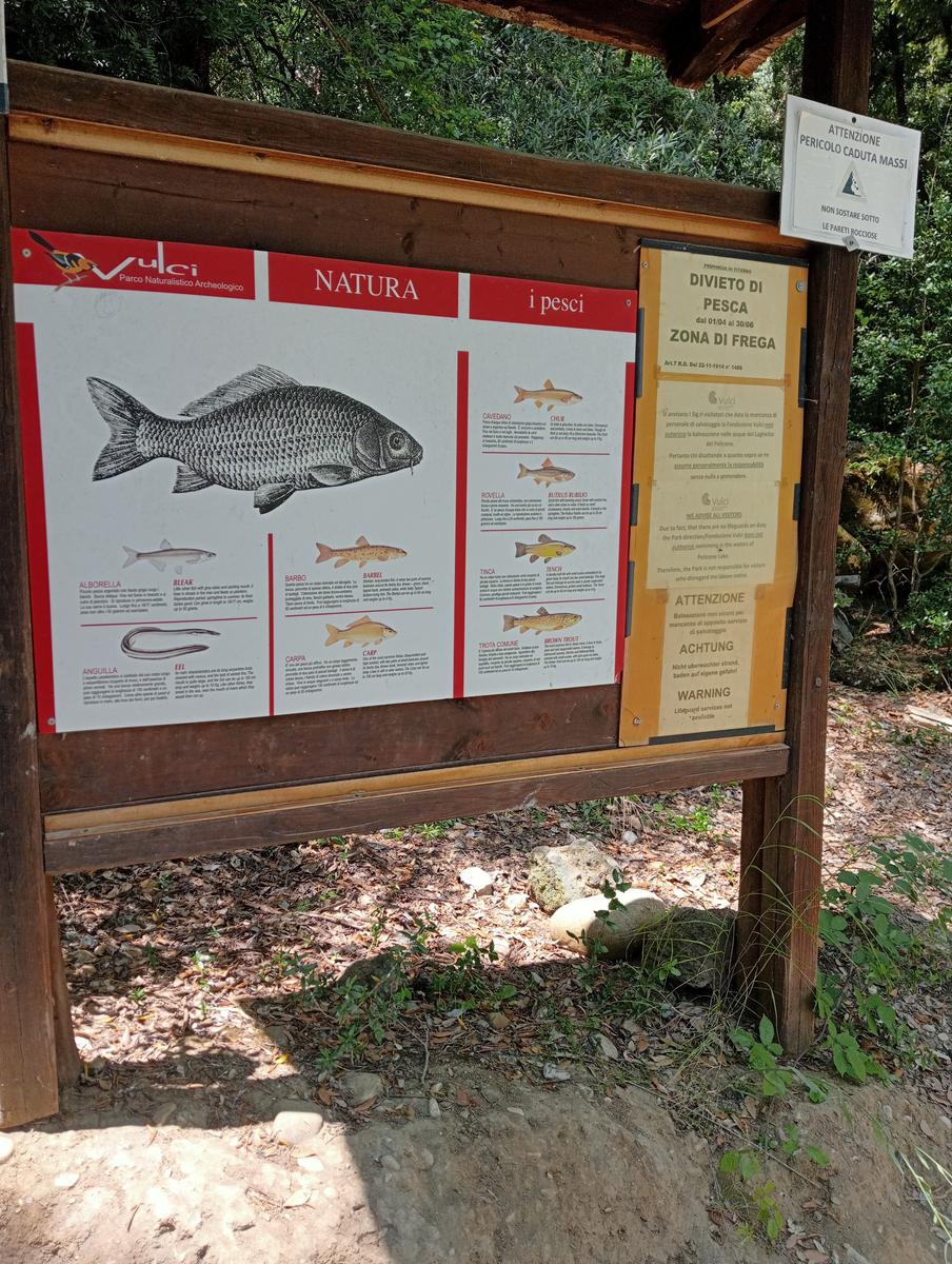 Castello di Vulci e parco archeologico - foto 17