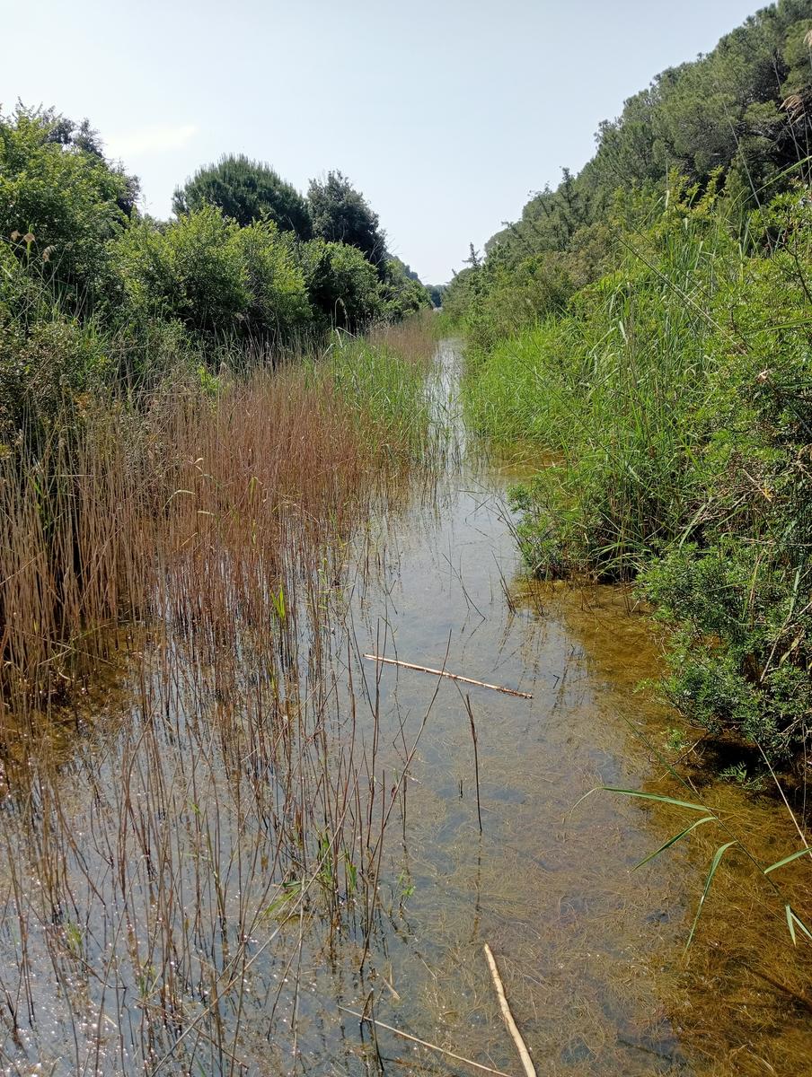 Parco maremma - Cala di Forno