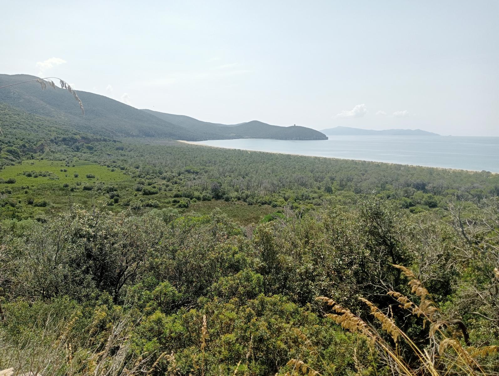 Parco maremma - Cala di Forno - foto 7