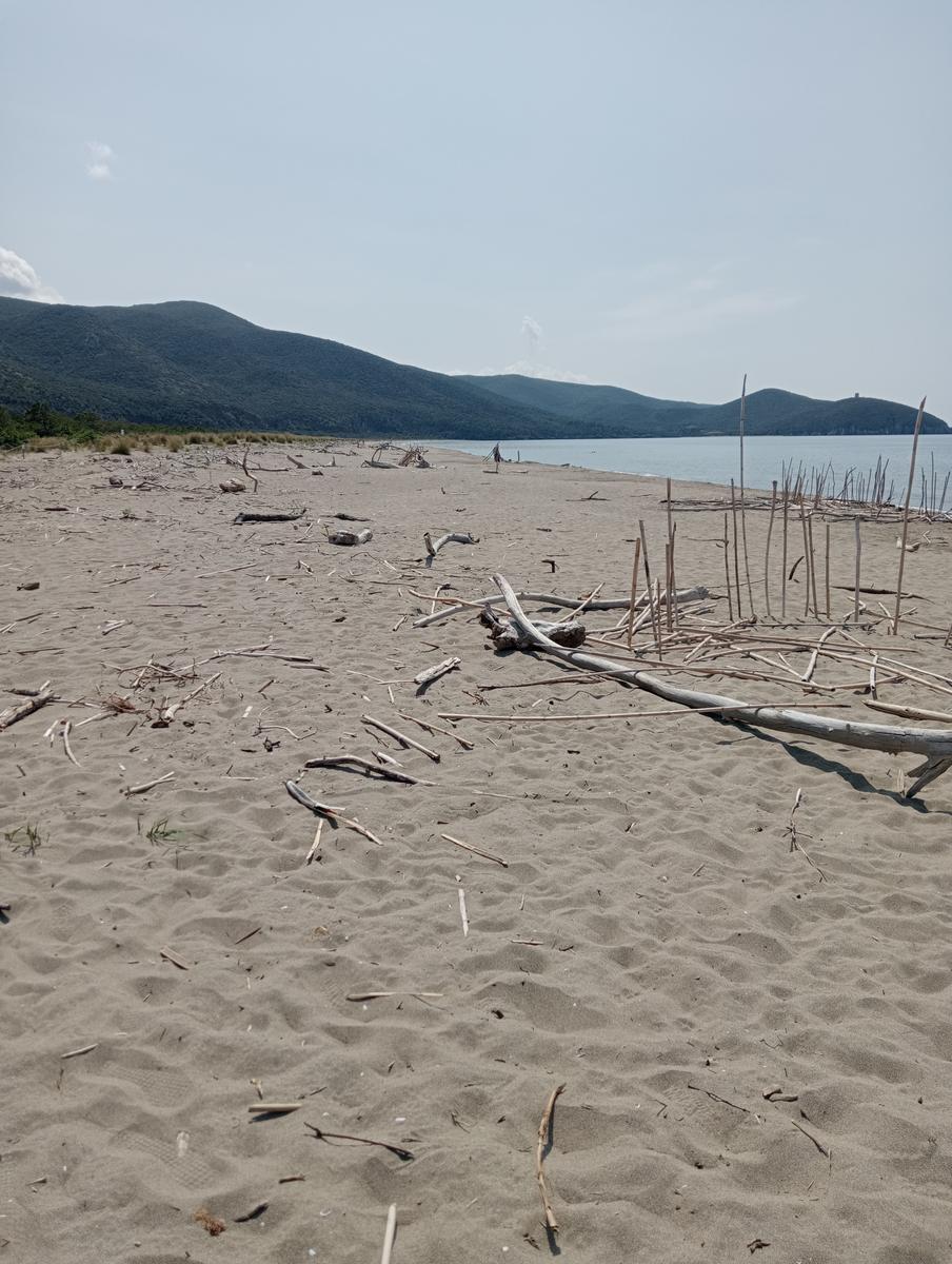 Parco maremma - Cala di Forno - foto 11