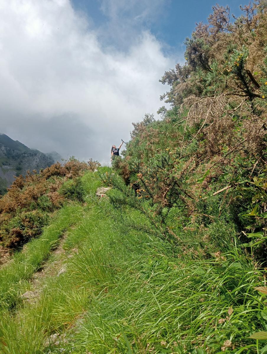 Pian della fioba Altissimo Picco Falcovaia Strega