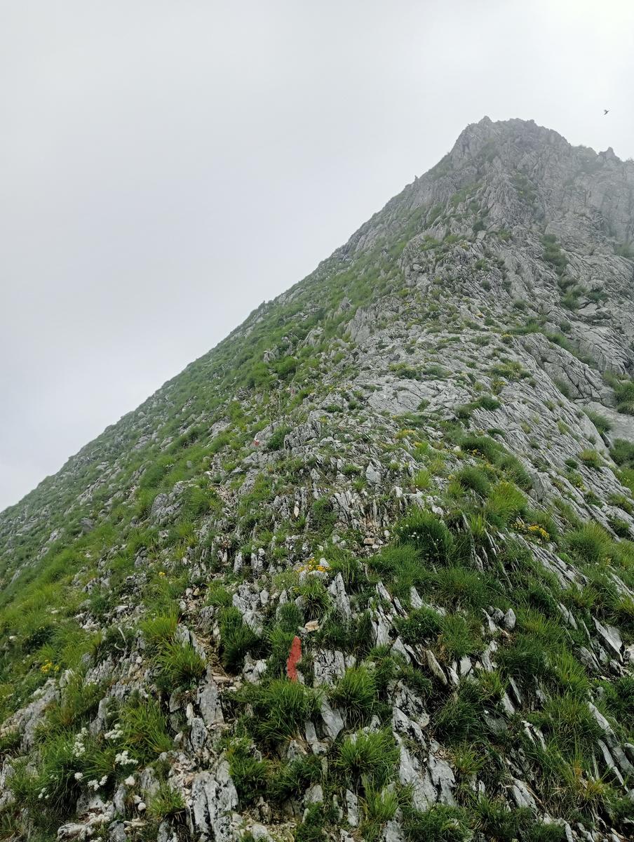 Pian della fioba Altissimo Picco Falcovaia Strega - foto 3