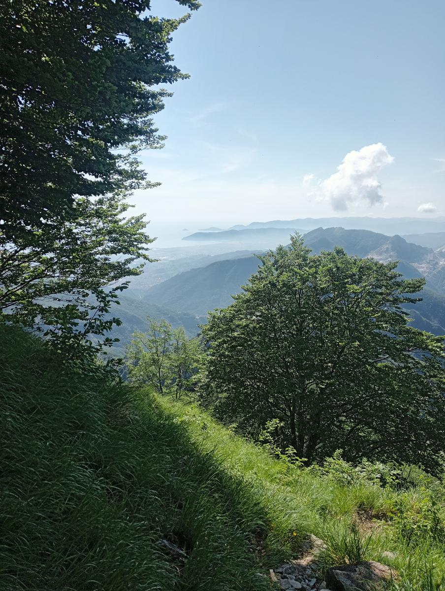 Pian della fioba Altissimo Picco Falcovaia Strega - foto 6