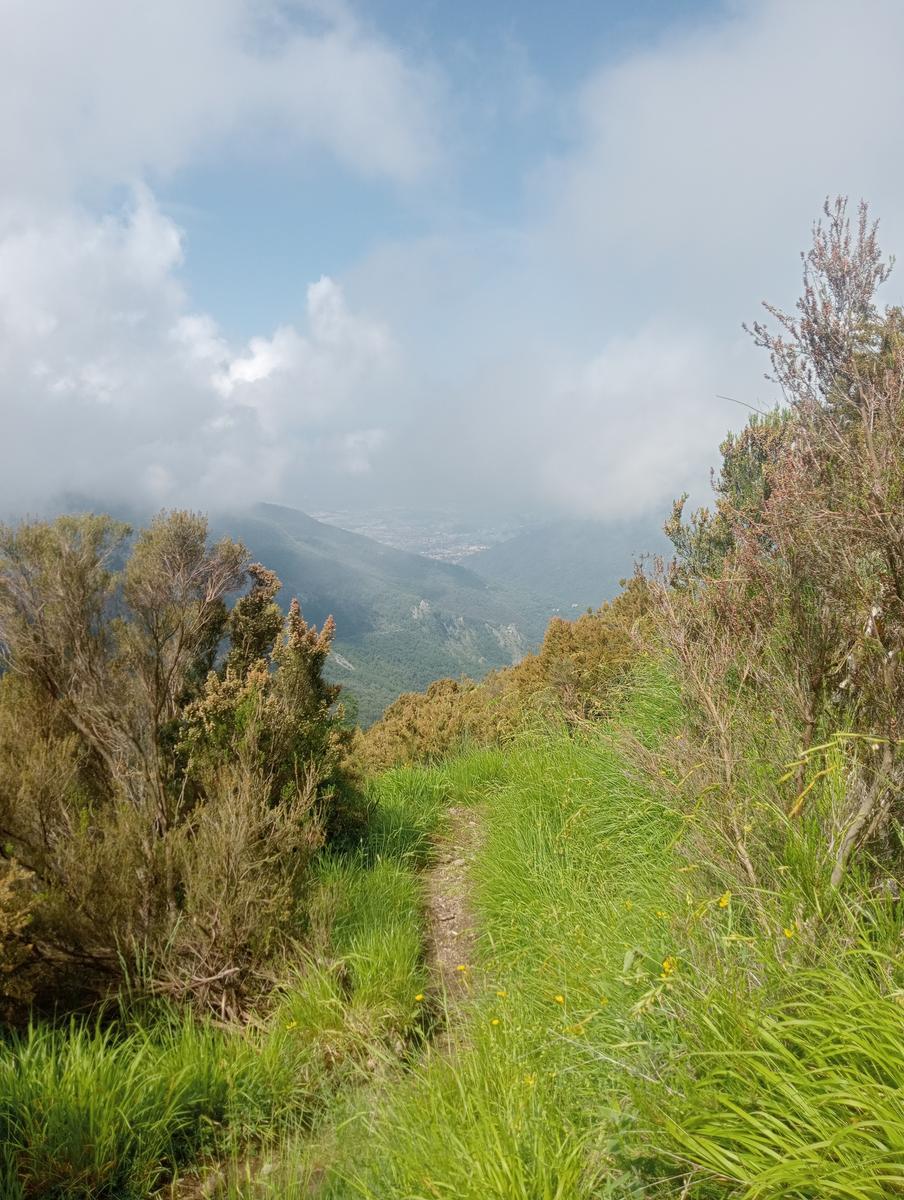 Pian della fioba Altissimo Picco Falcovaia Strega - foto 10
