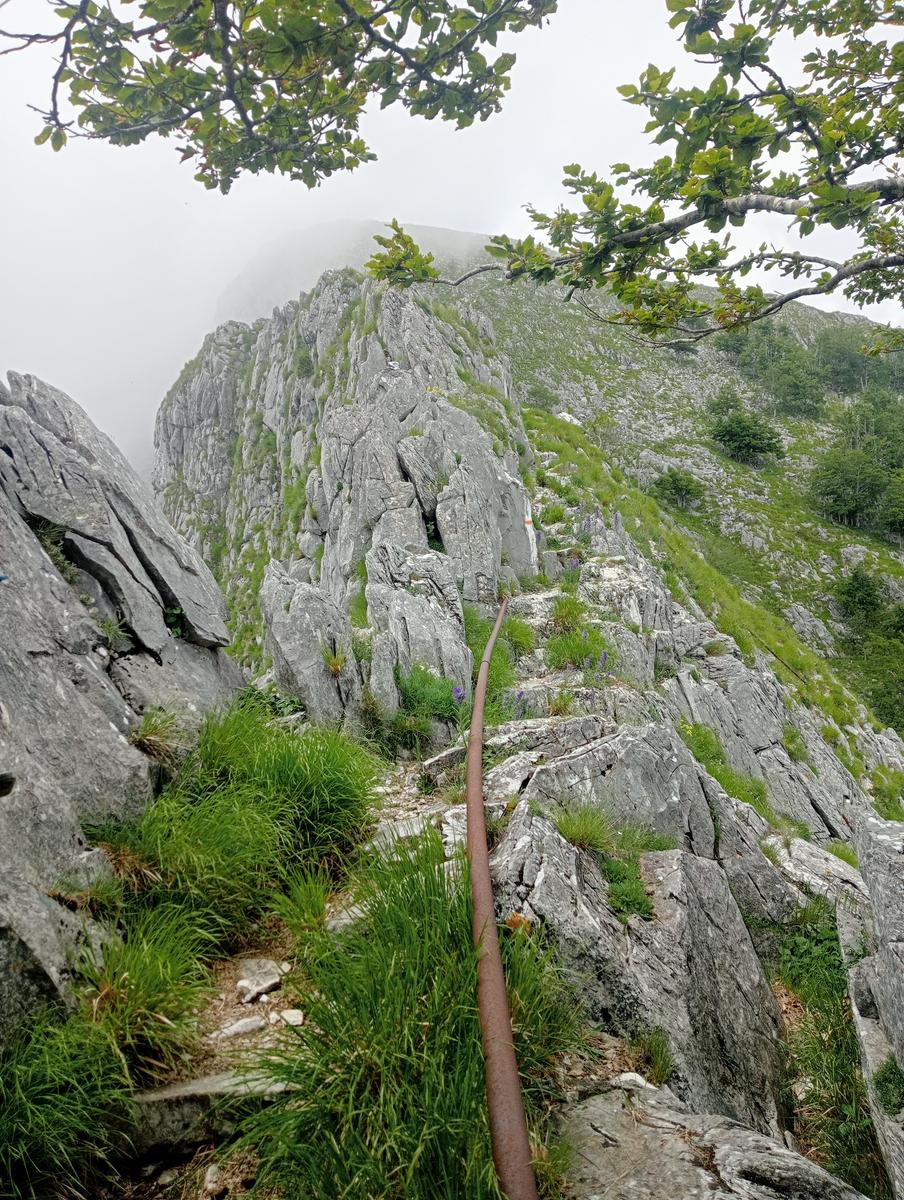 Pian della fioba Altissimo Picco Falcovaia Strega - foto 11