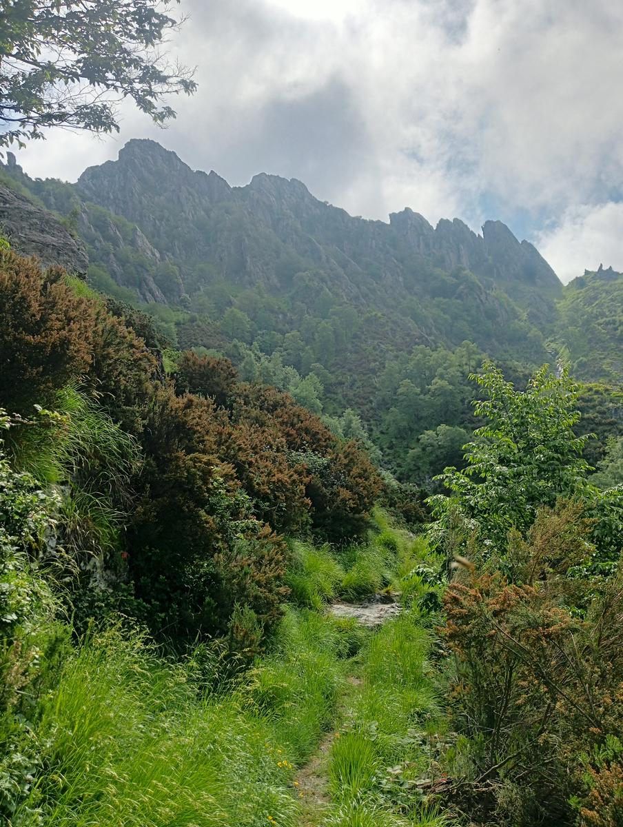 Pian della fioba Altissimo Picco Falcovaia Strega - foto 16