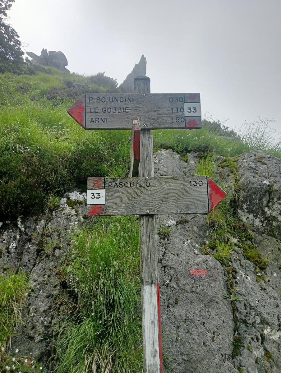 Pian della fioba Altissimo Picco Falcovaia Strega - foto 17