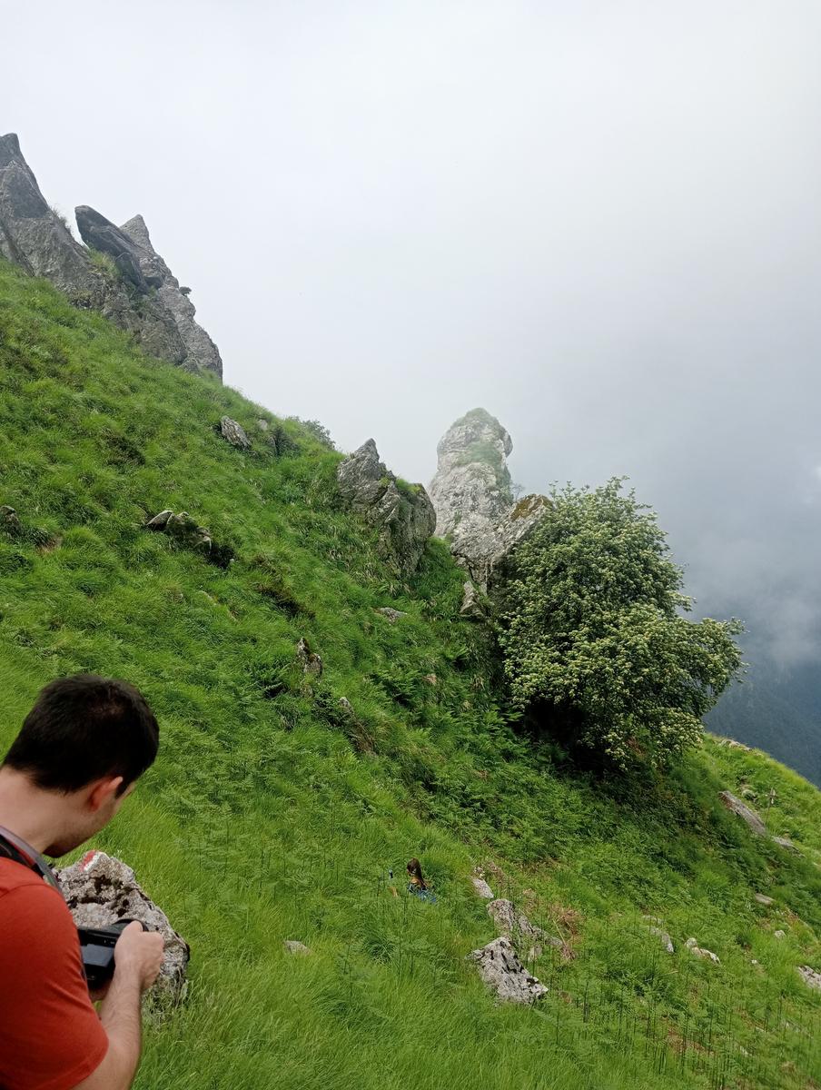 Pian della fioba Altissimo Picco Falcovaia Strega - foto 18