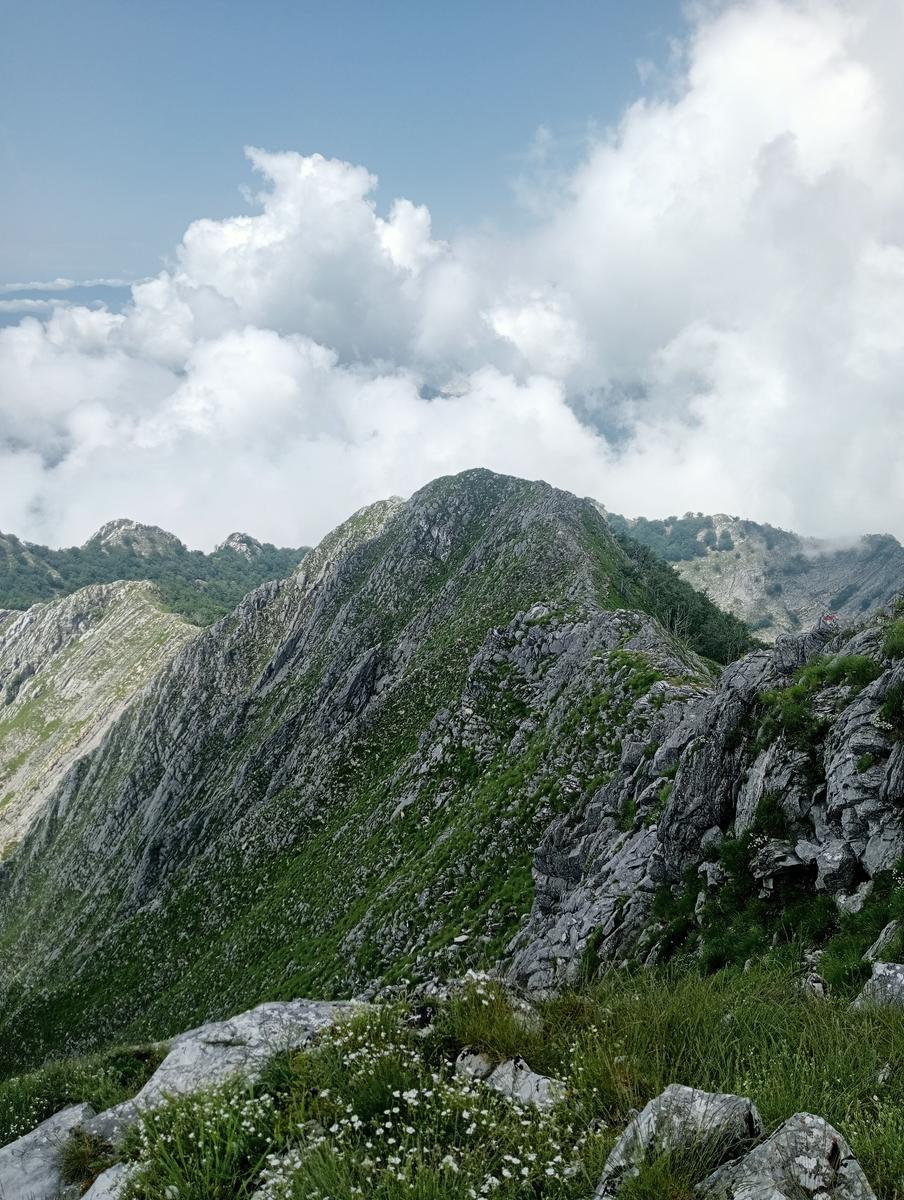 Pian della fioba Altissimo Picco Falcovaia Strega - foto 21