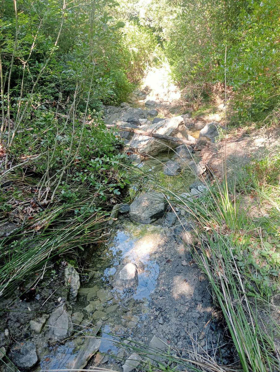 Masso delle fanciulle - Masso degli specchi - Castello dei Vescovi - foto 6