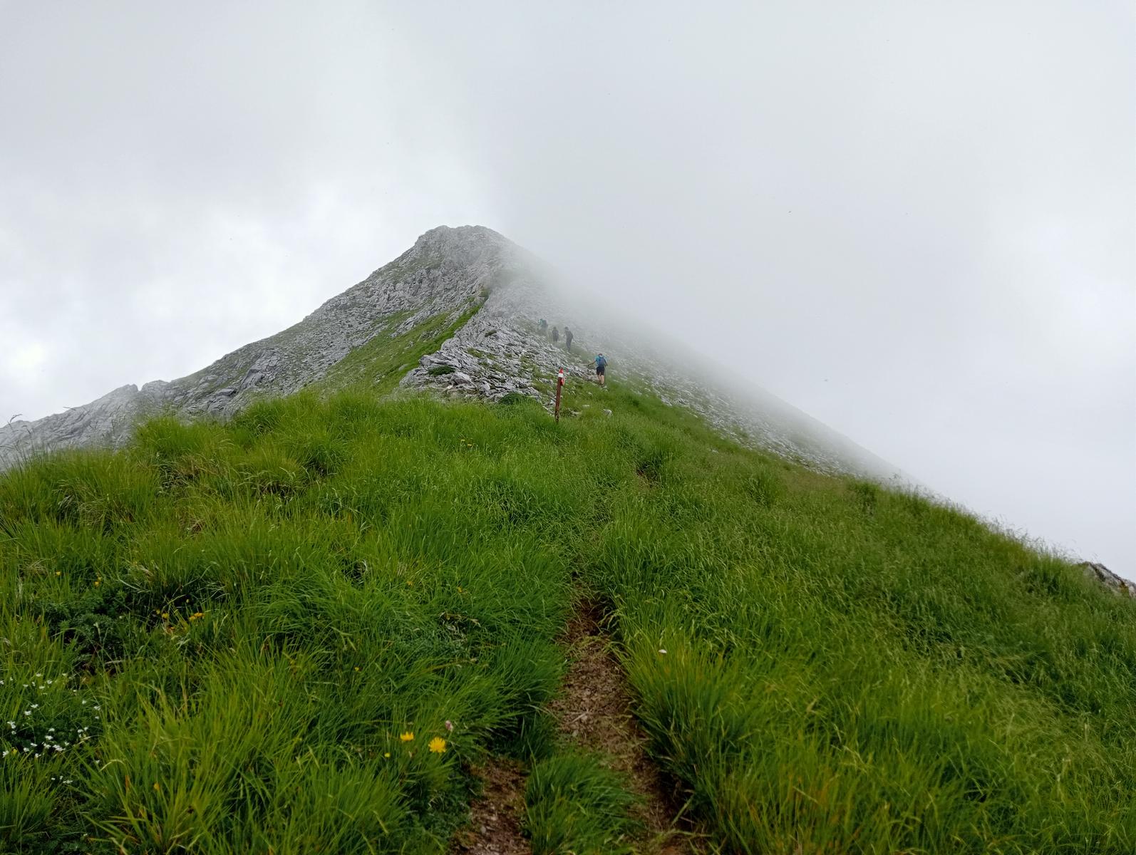 La Tambura - la Focoletta - M.Crispo - foto 7