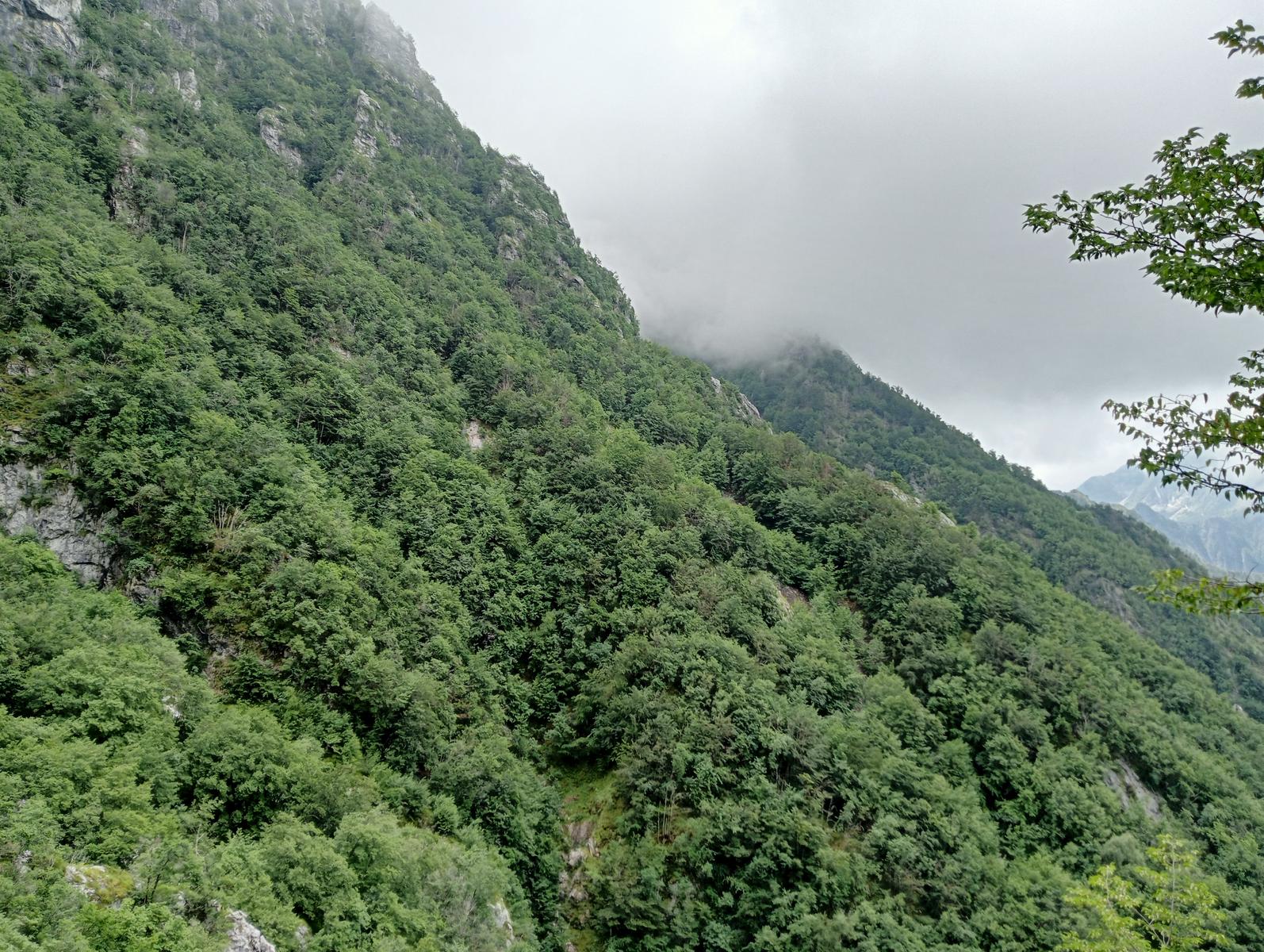 La Tambura - la Focoletta - M.Crispo - foto 13
