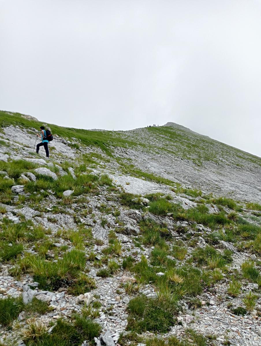 La Tambura - la Focoletta - M.Crispo - foto 14