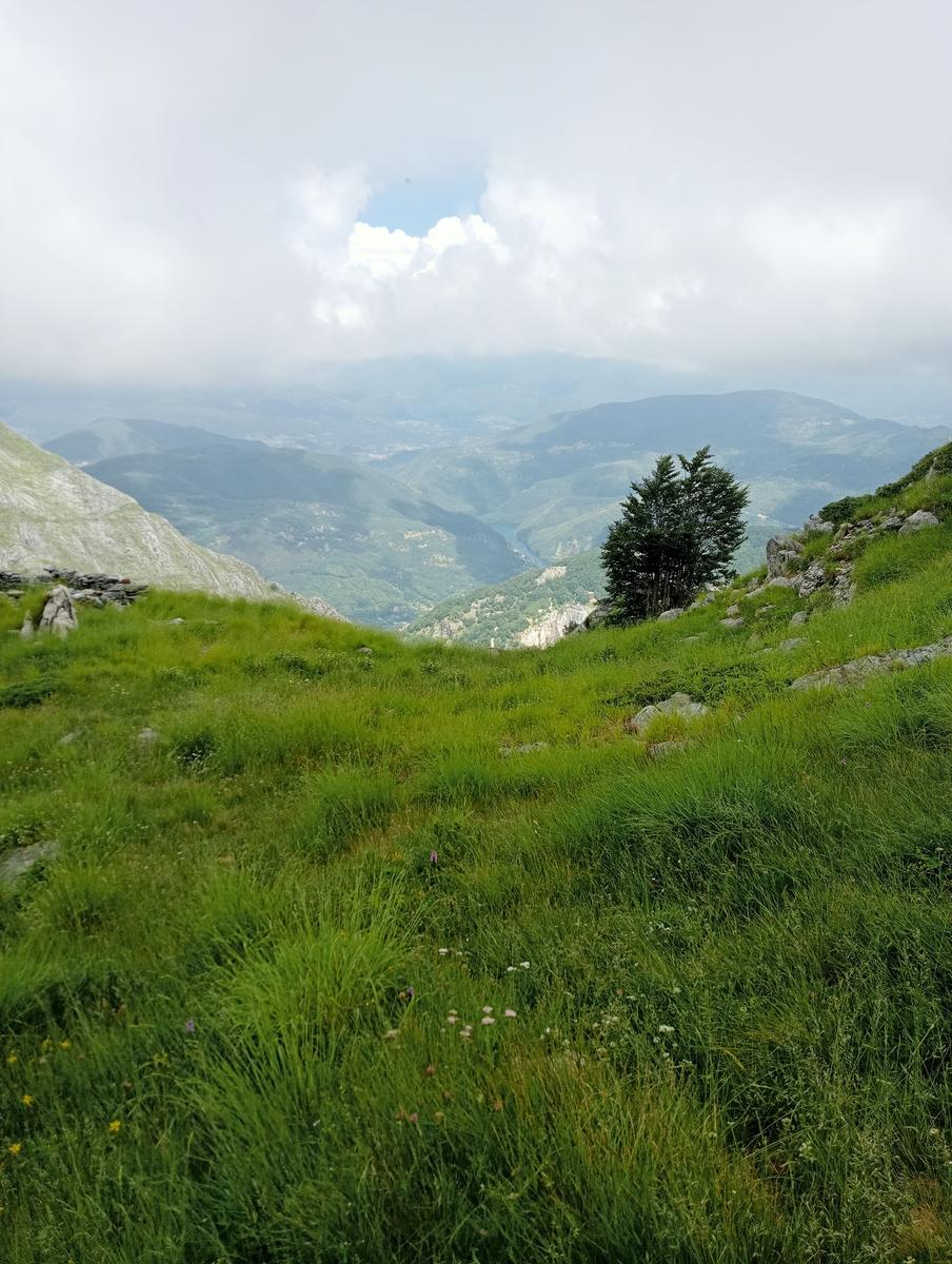 La Tambura - la Focoletta - M.Crispo - foto 15