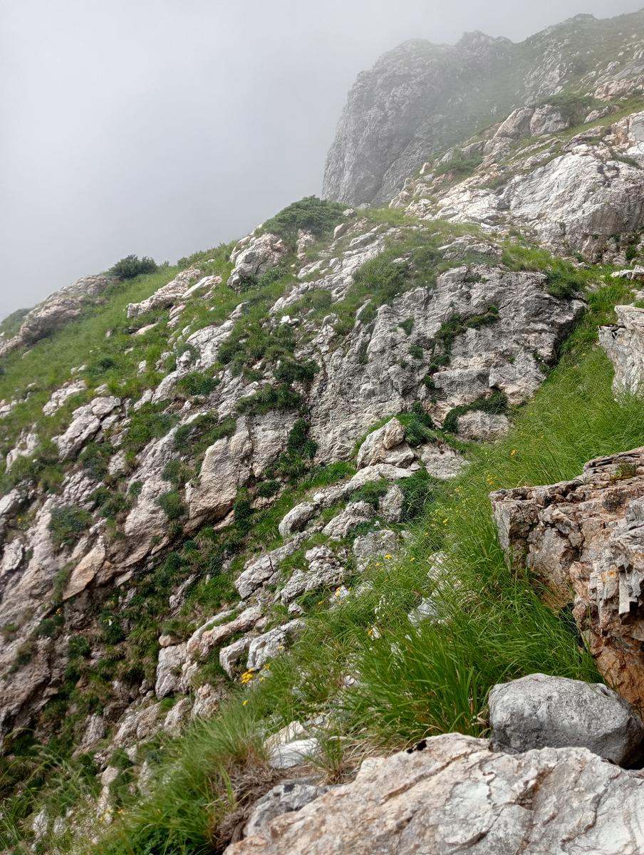 La Tambura - la Focoletta - M.Crispo - foto 16