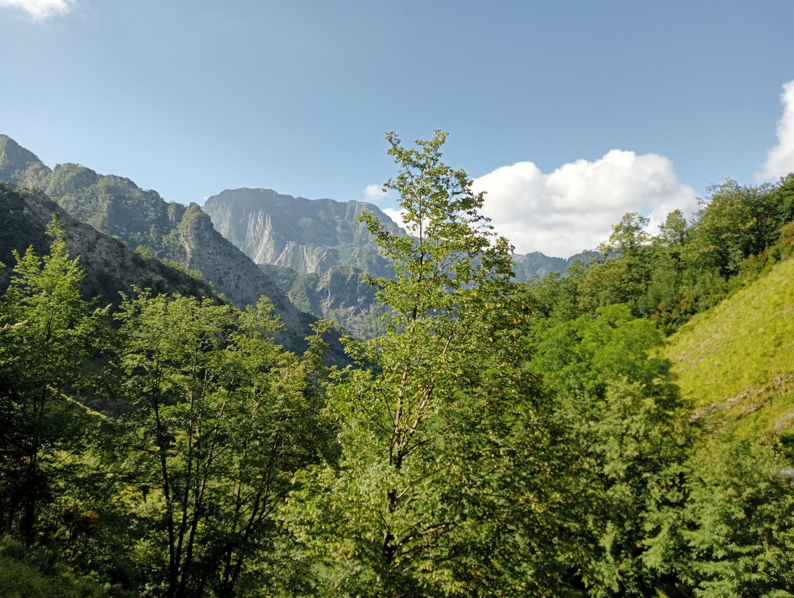 La Tambura - la Focoletta - M.Crispo - foto 17