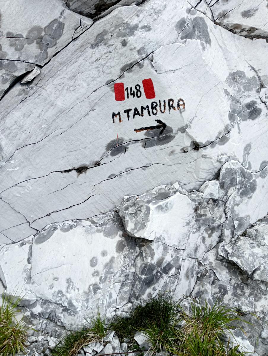 La Tambura - la Focoletta - M.Crispo - foto 22