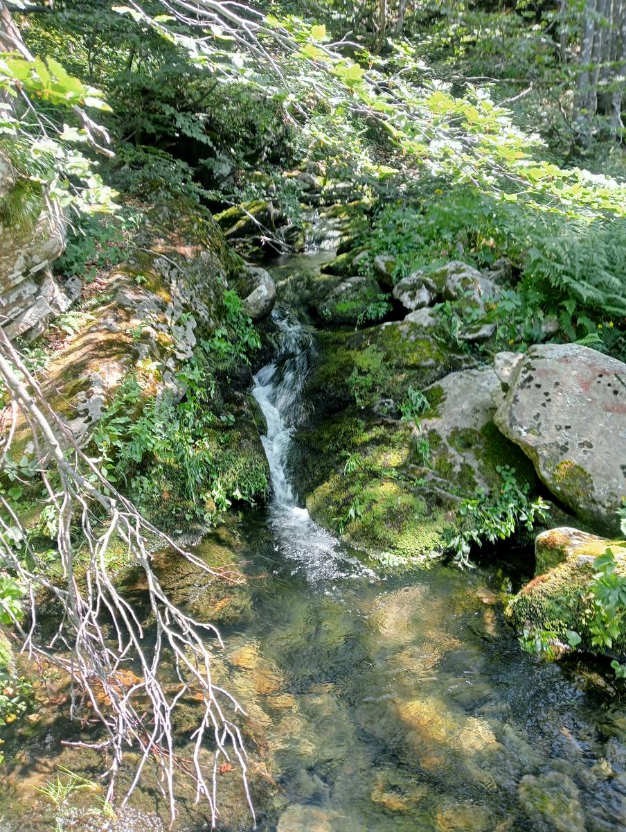 lago Santo Parmense - Lagoni - lago oscuro - due giorni - foto 2