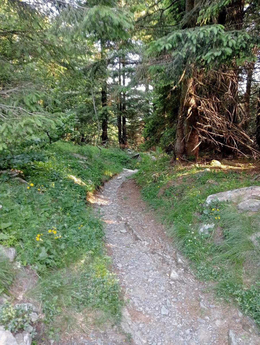 lago Santo Parmense - Lagoni - lago oscuro - due giorni - foto 6