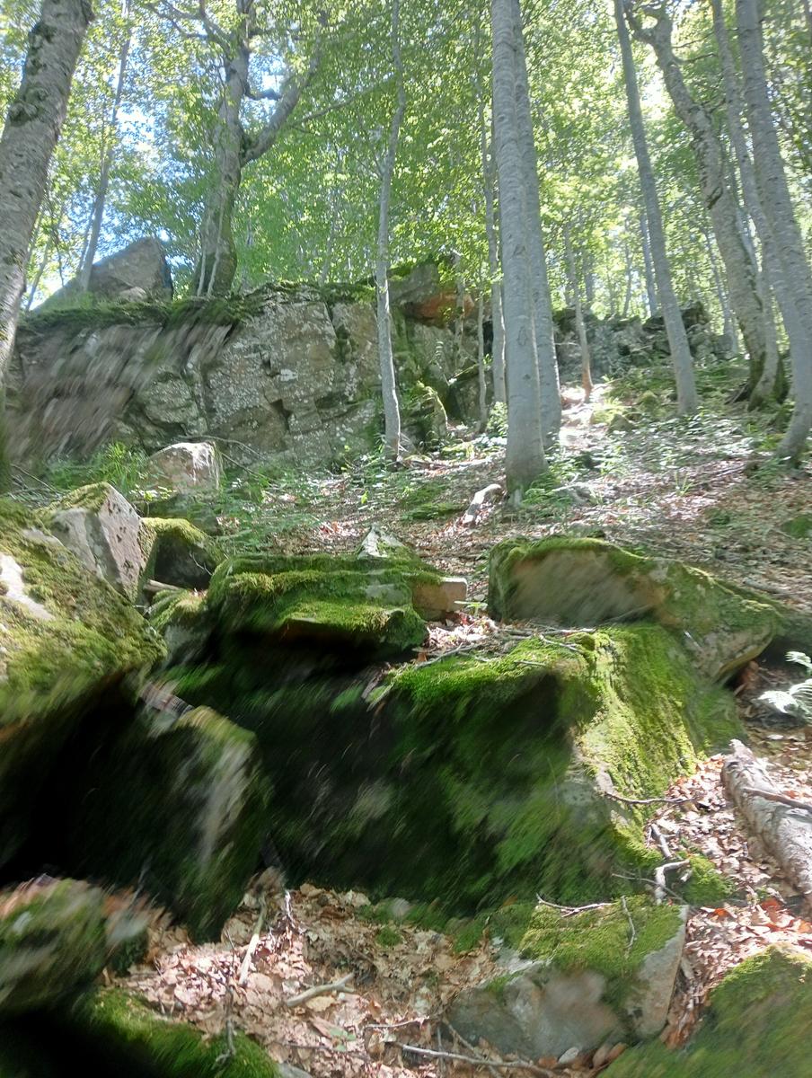 lago Santo Parmense - Lagoni - lago oscuro - due giorni - foto 7