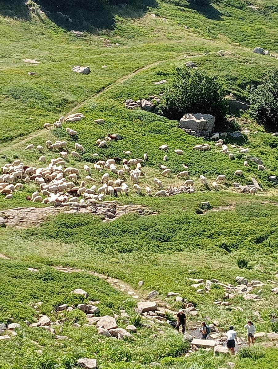 lago Santo Parmense - Lagoni - lago oscuro - due giorni - foto 12