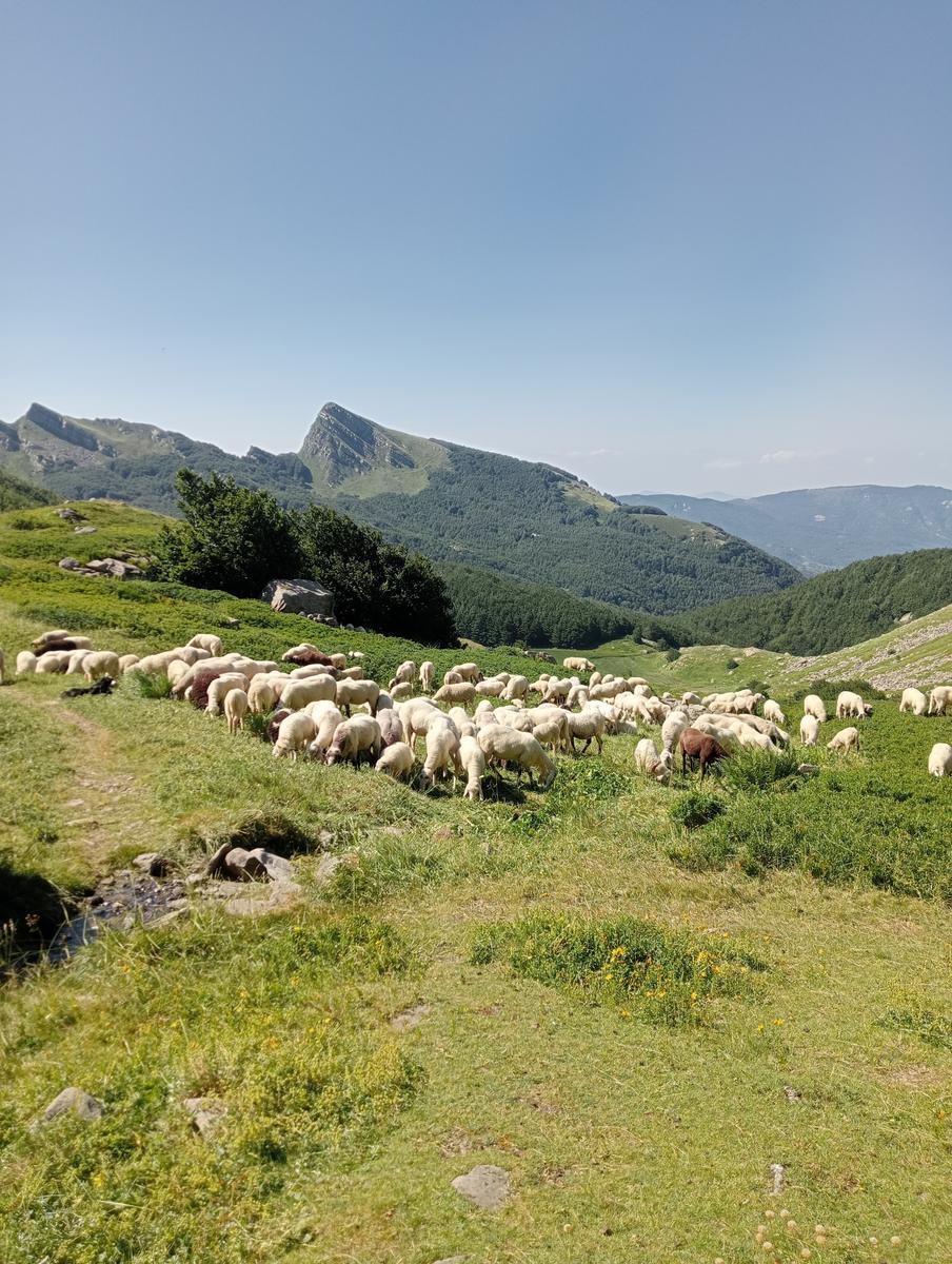 lago Santo Parmense - Lagoni - lago oscuro - due giorni - foto 22
