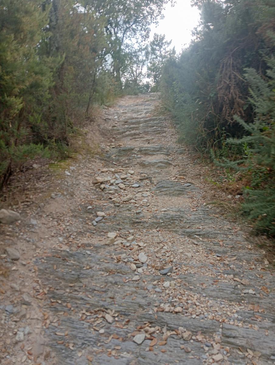 Asciano - Passo di Dante - Monte Castellare - Villa Bosniaski - foto 2