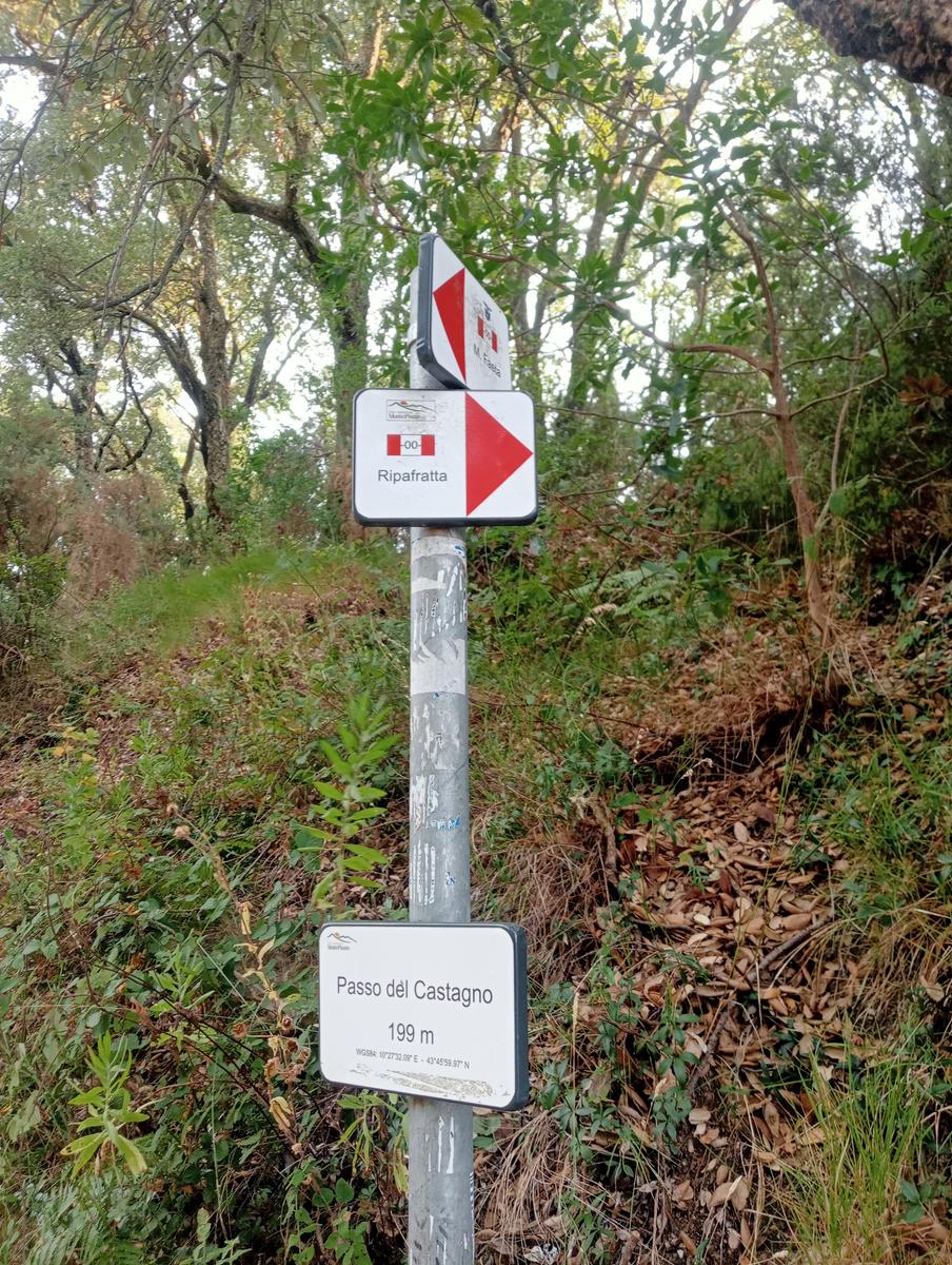 Asciano - Passo di Dante - Monte Castellare - Villa Bosniaski - foto 3