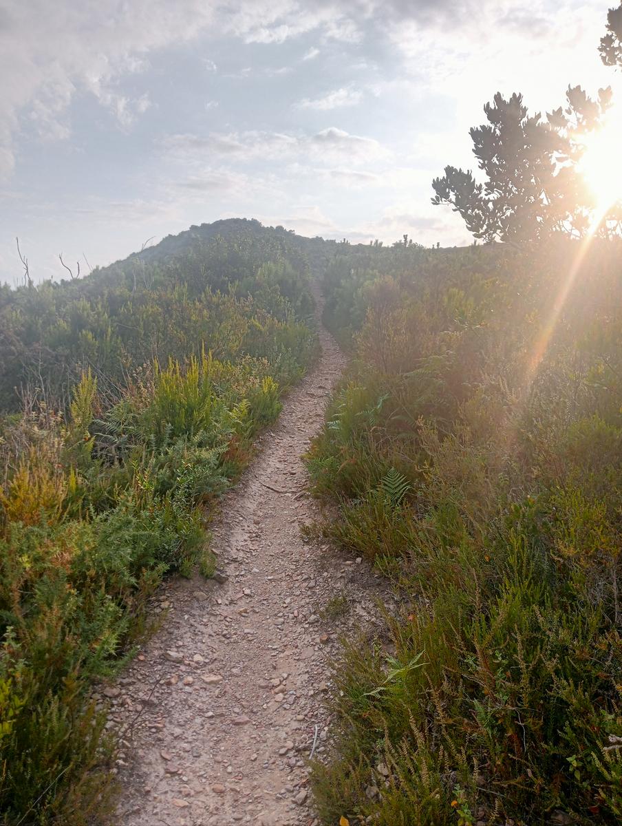 Asciano - Passo di Dante - Monte Castellare - Villa Bosniaski - foto 4