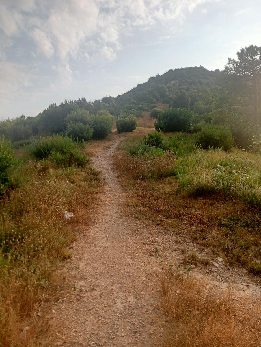 Asciano - Passo di Dante - Monte Castellare - Villa Bosniaski - foto 5