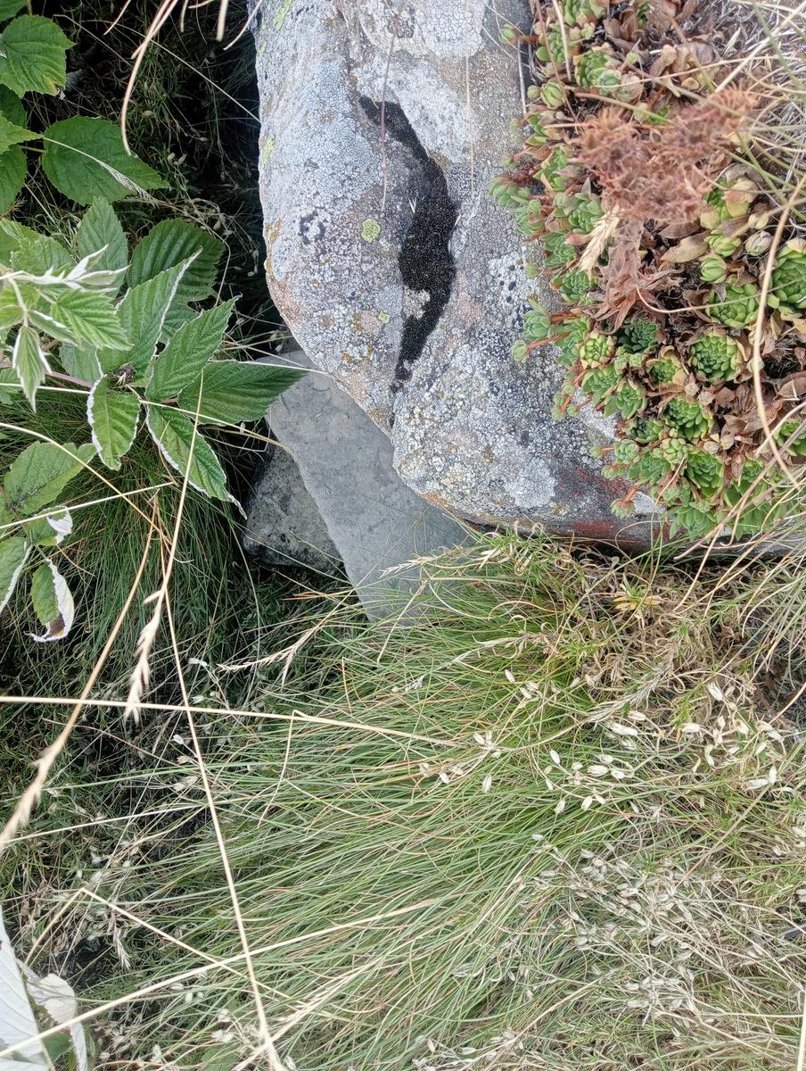 Val di Luce - Lago Nero - Alpe delle tre potenze - Passo D'Annibale -Femmina Morta - foto 8