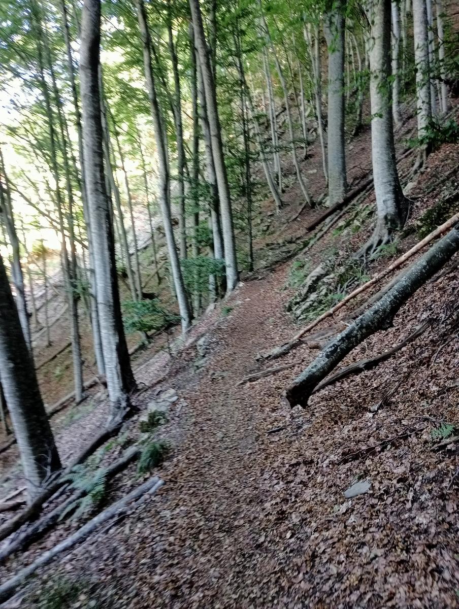 Puntato - Monte Freddone - Monte Paglino - foto 2