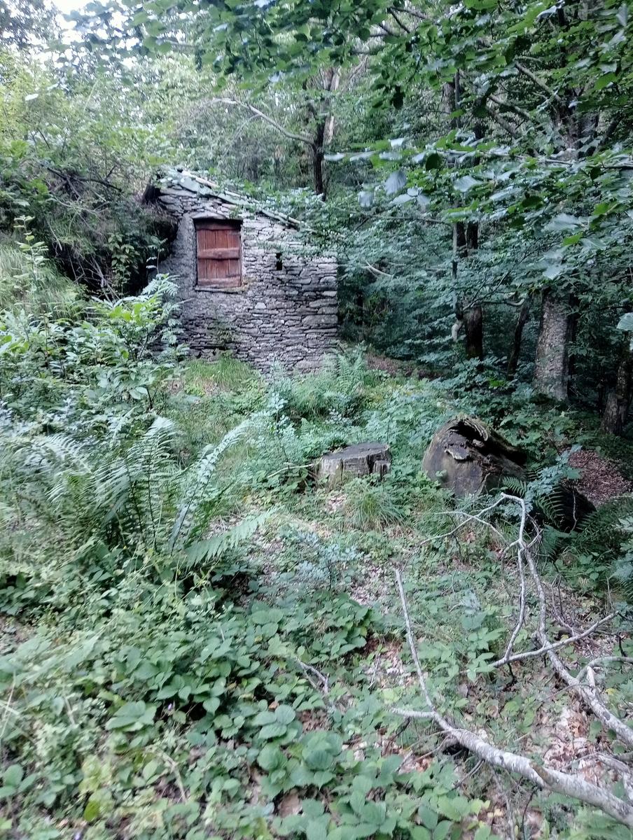 Puntato - Monte Freddone - Monte Paglino - foto 3