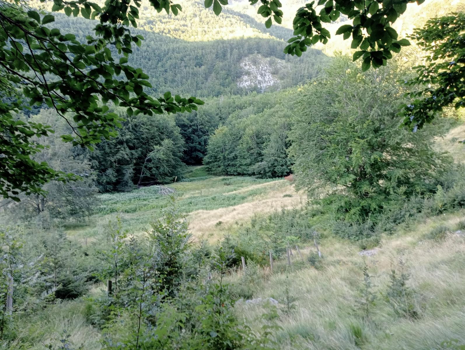 Puntato - Monte Freddone - Monte Paglino - foto 5