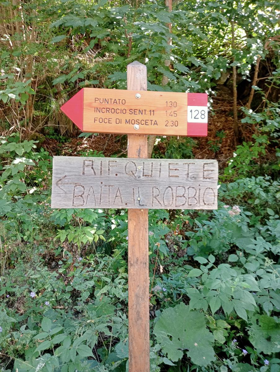 Puntato - Monte Freddone - Monte Paglino - foto 9