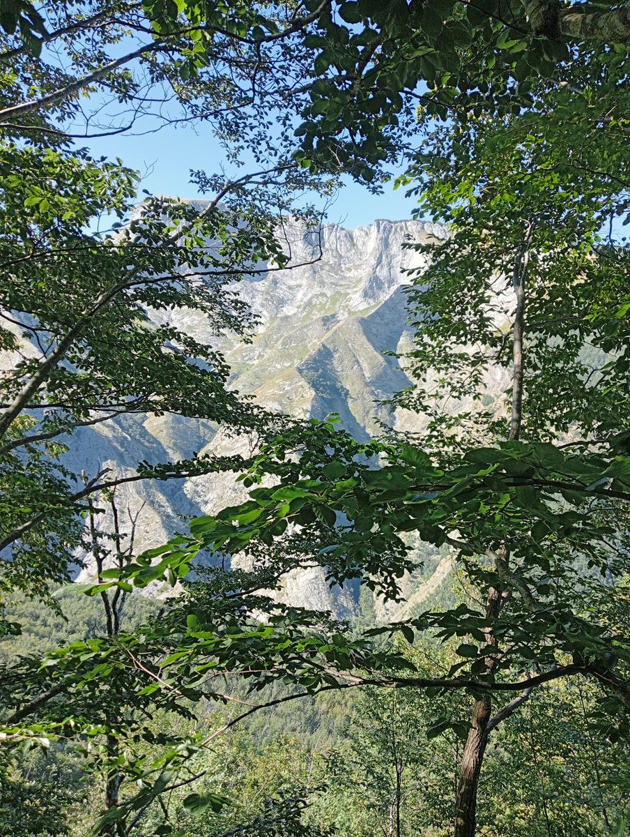 Puntato - Monte Freddone - Monte Paglino - foto 10