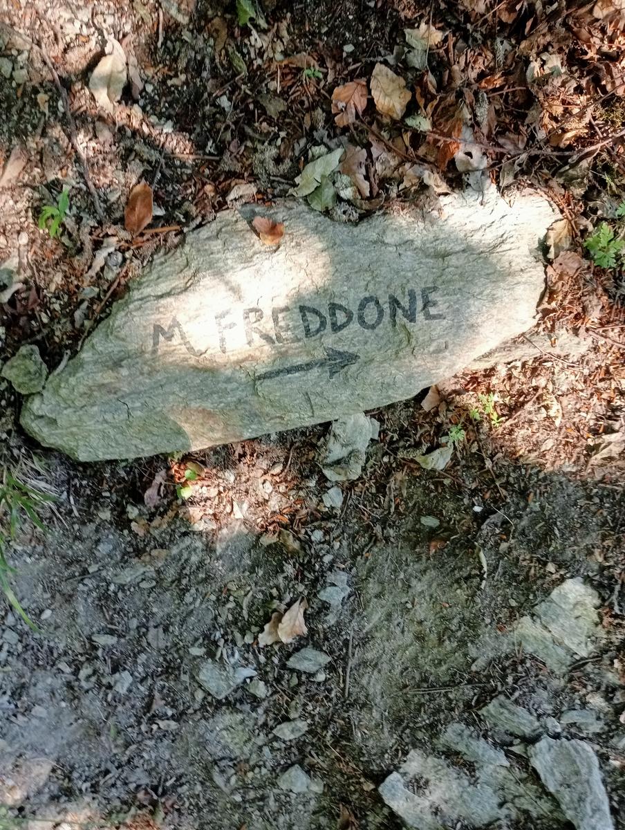 Puntato - Monte Freddone - Monte Paglino - foto 15