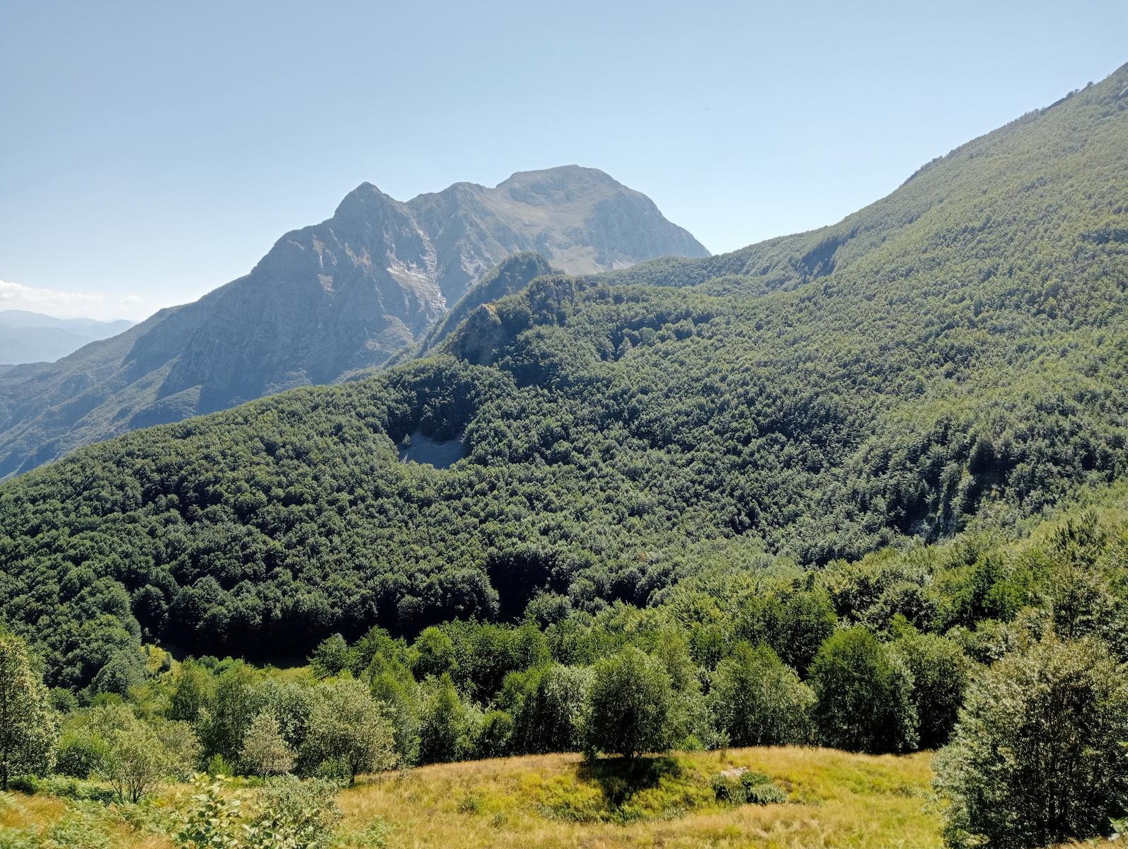 Puntato - Monte Freddone - Monte Paglino - foto 18