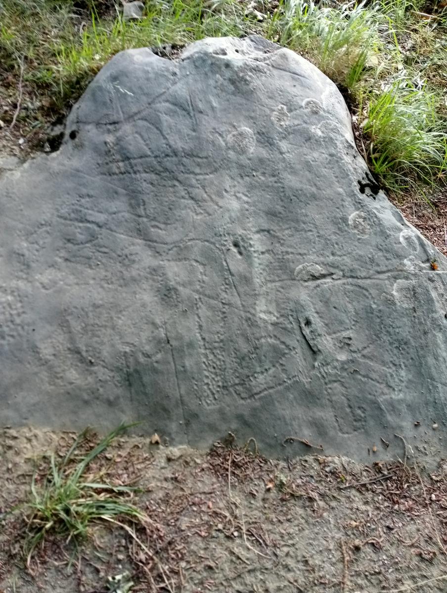 Puntato - Monte Freddone - Monte Paglino - foto 24