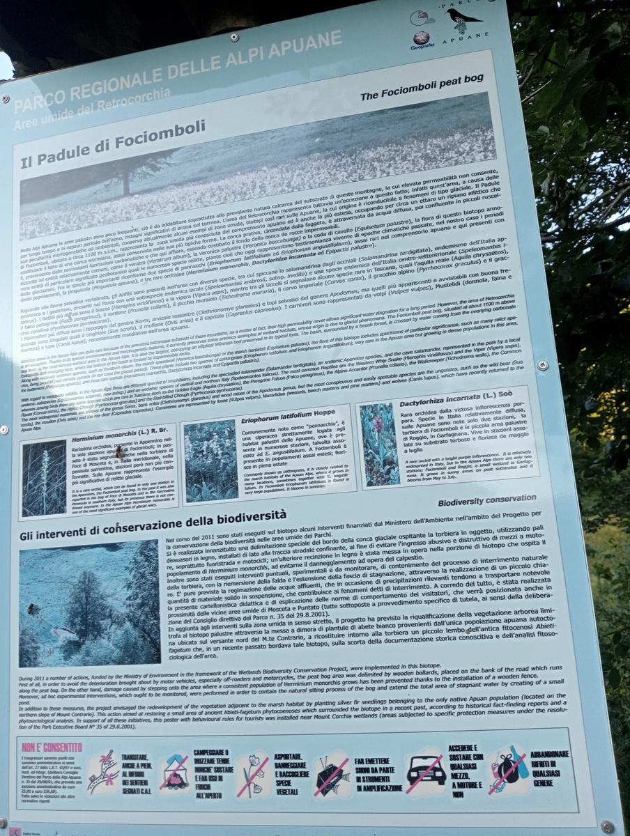 Puntato - Monte Freddone - Monte Paglino - foto 27