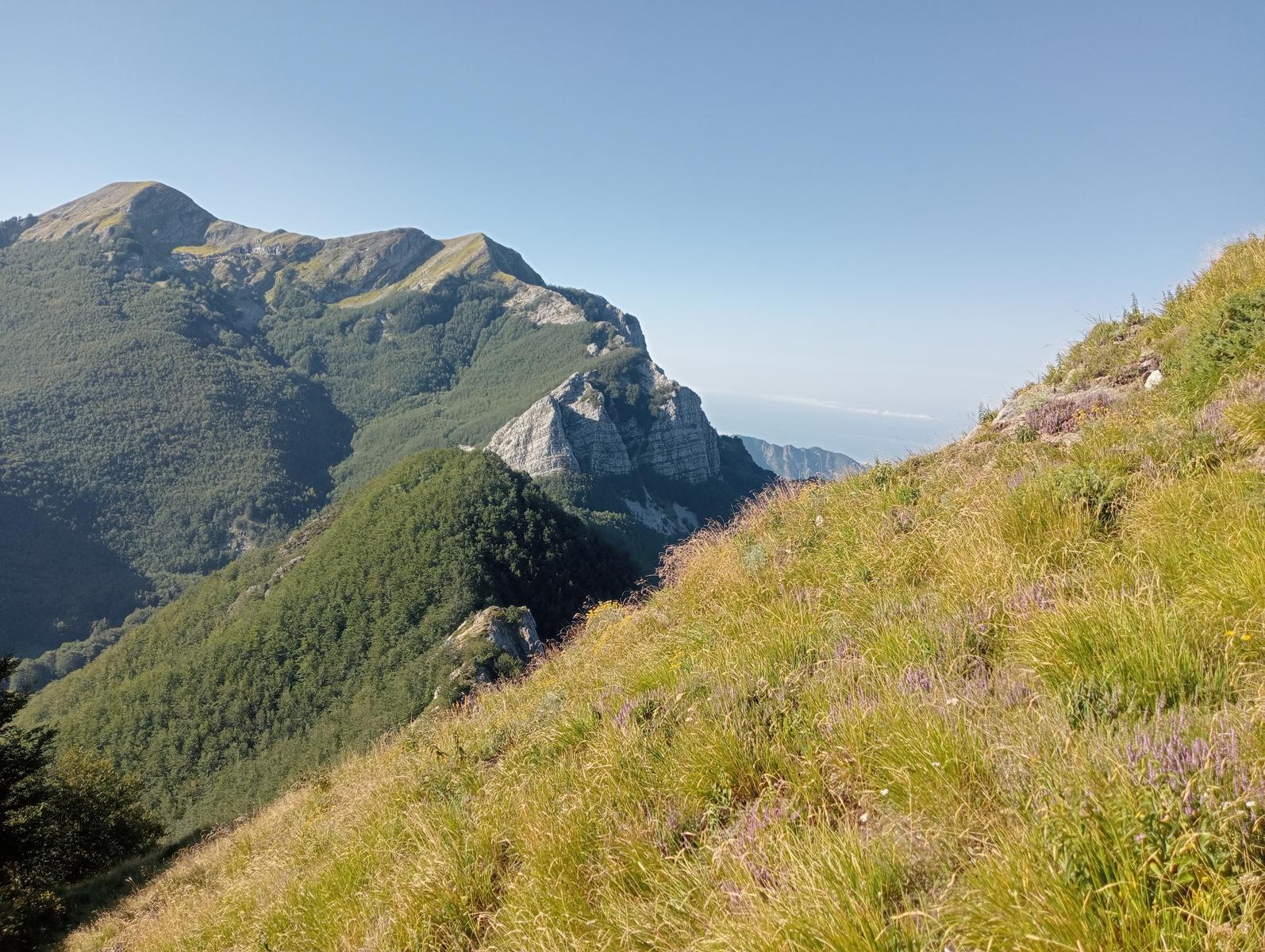 Puntato - Monte Freddone - Monte Paglino - foto 29