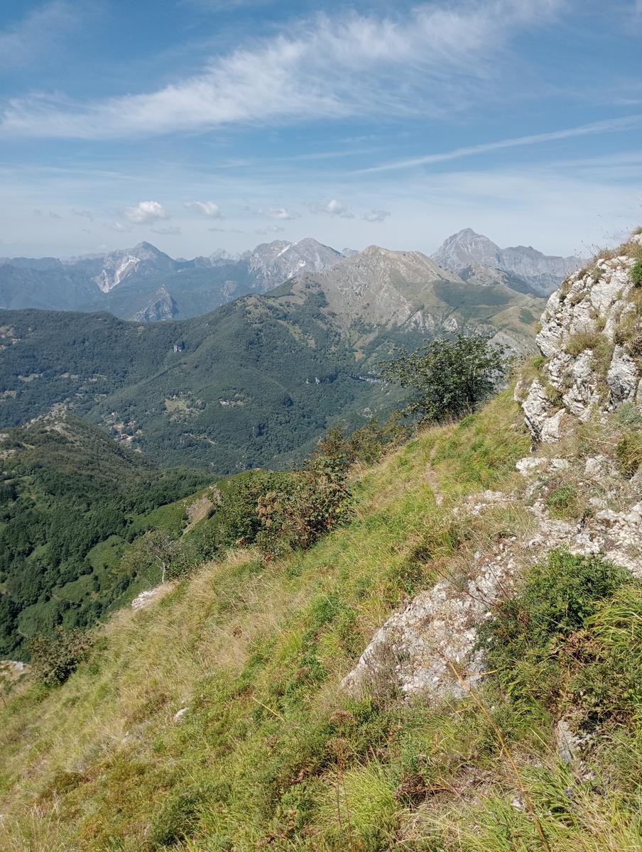 Lucese - Prana - Baita Barsi - Baita Verde - Campo all'orzo - foto 4