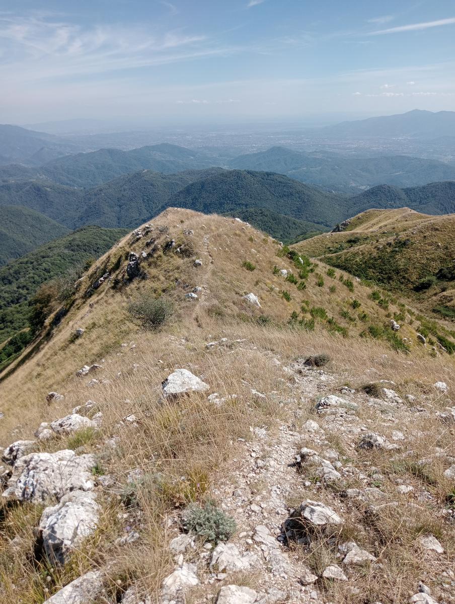 Lucese - Prana - Baita Barsi - Baita Verde - Campo all'orzo - foto 5