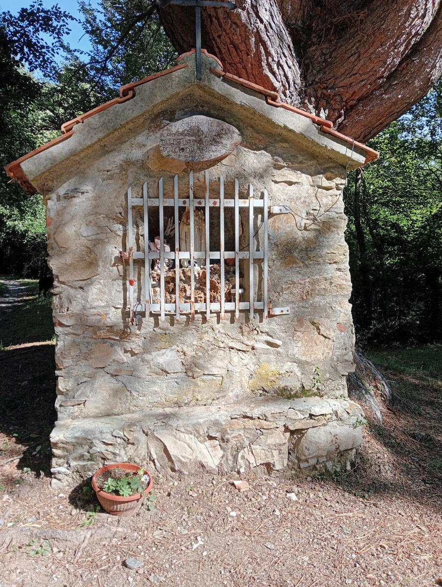 Lucese - Prana - Baita Barsi - Baita Verde - Campo all'orzo - foto 6