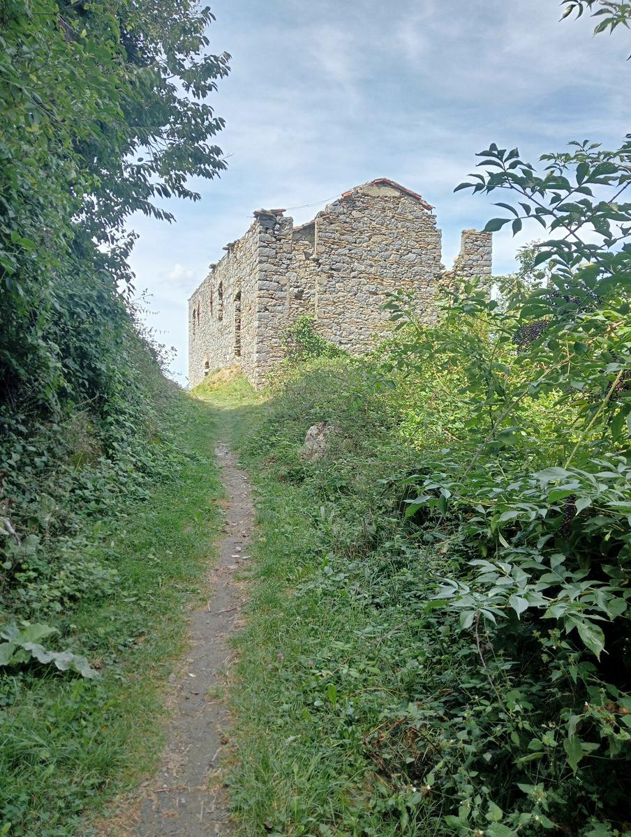 Lucese - Prana - Baita Barsi - Baita Verde - Campo all'orzo - foto 9