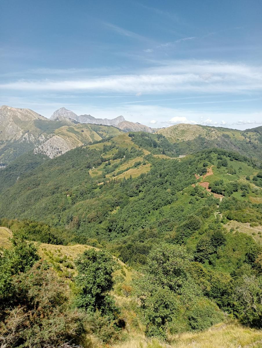 Lucese - Prana - Baita Barsi - Baita Verde - Campo all'orzo - foto 10