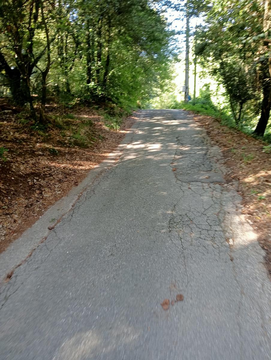 Lucese - Prana - Baita Barsi - Baita Verde - Campo all'orzo - foto 13